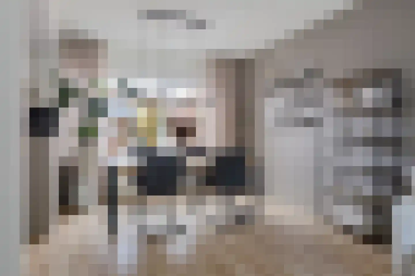 De Loegen 9 Zwartemeer thumbnail 7