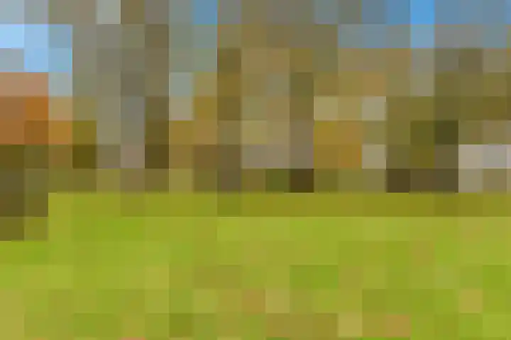 De Loet 10 Castricum thumbnail 40