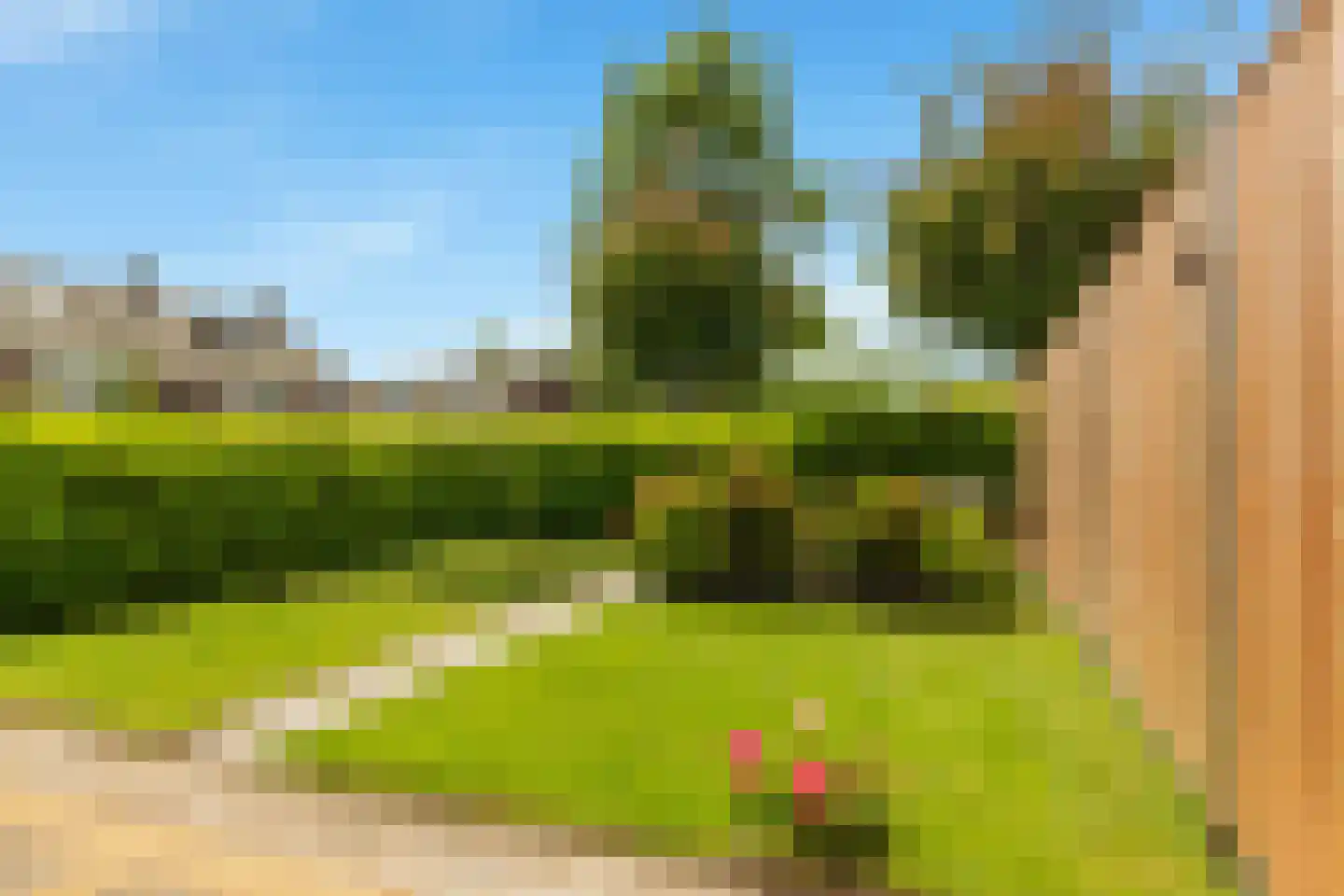 De Loet 182 Castricum thumbnail 39