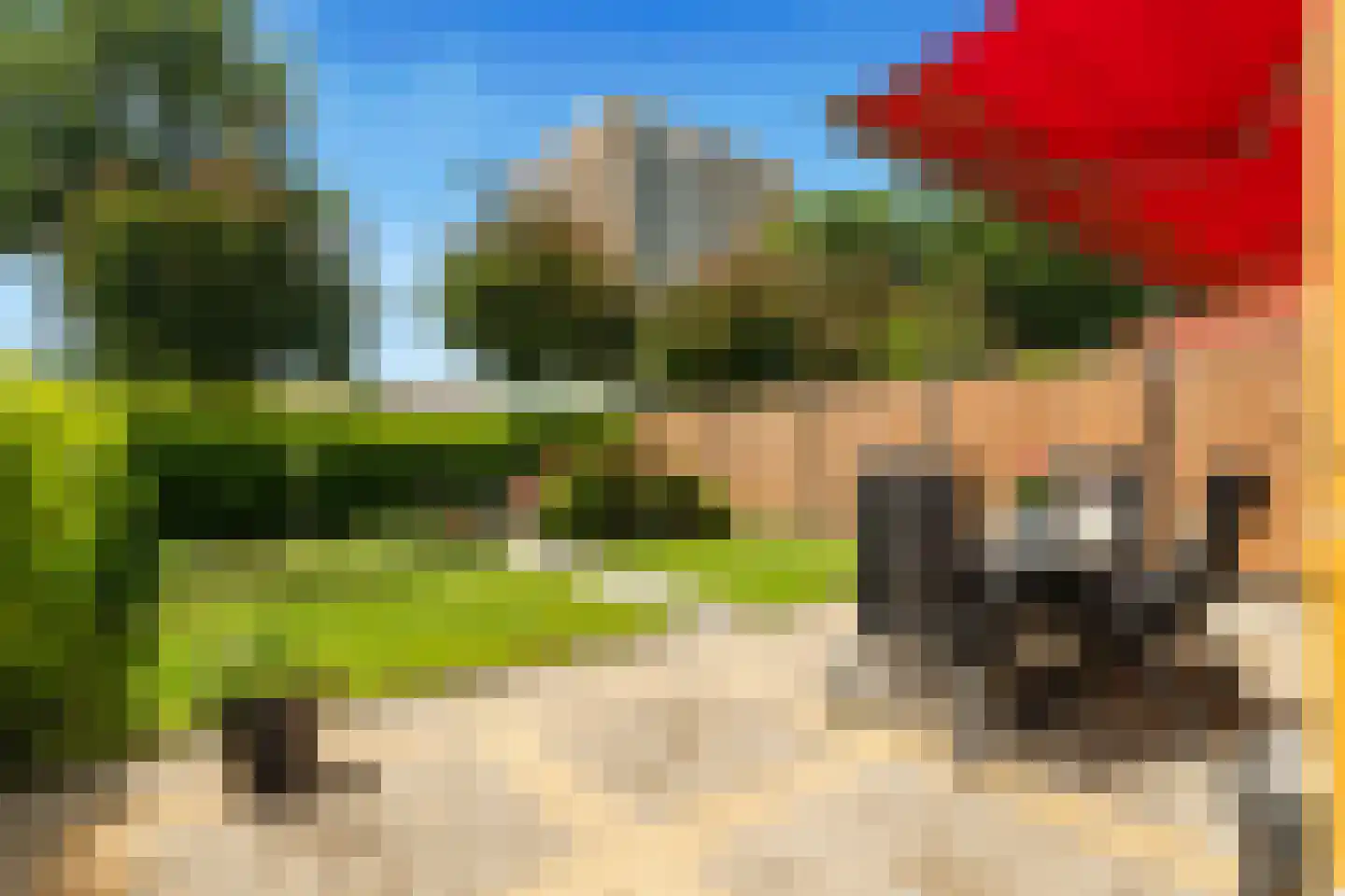 De Loet 182 Castricum thumbnail 44