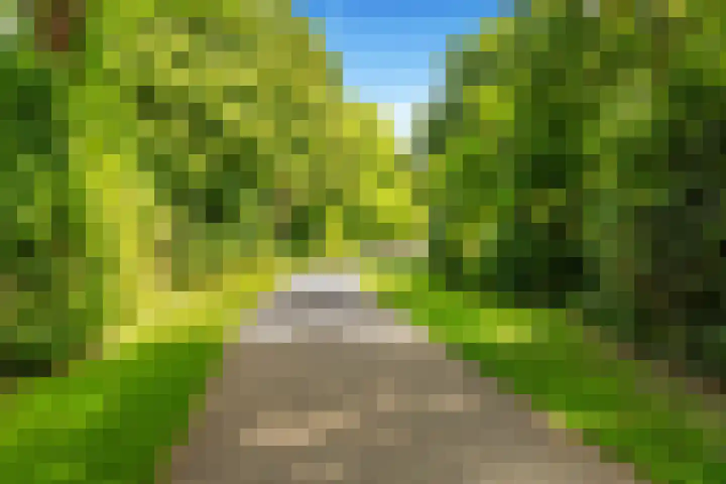 De Loet 182 Castricum thumbnail 51