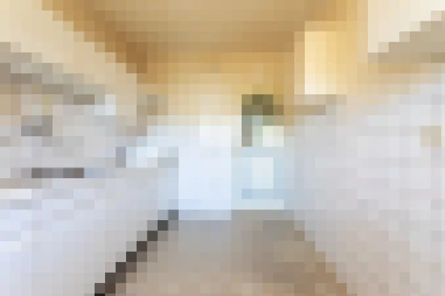 De Loet 216 Castricum thumbnail 10
