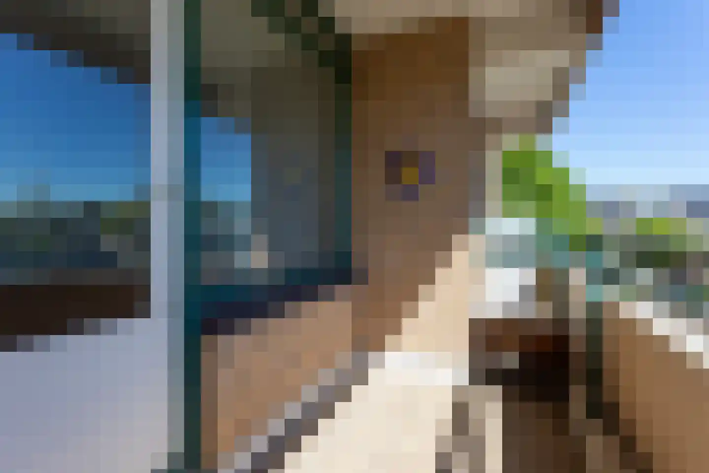 De Loet 216 Castricum thumbnail 20