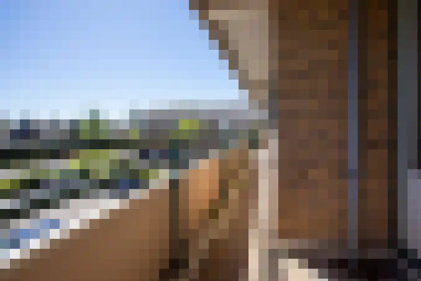 De Loet 216 Castricum thumbnail 21