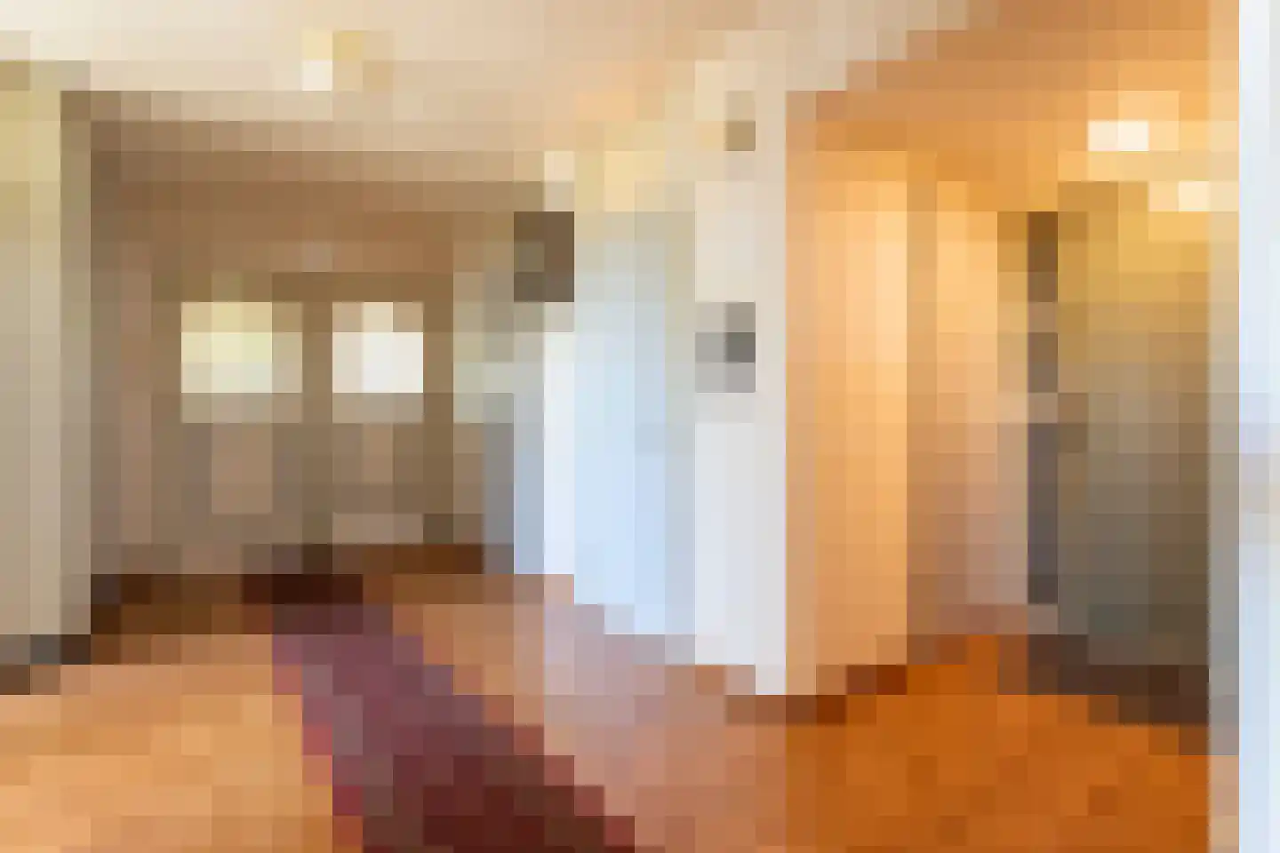 De Loet 216 Castricum thumbnail 33