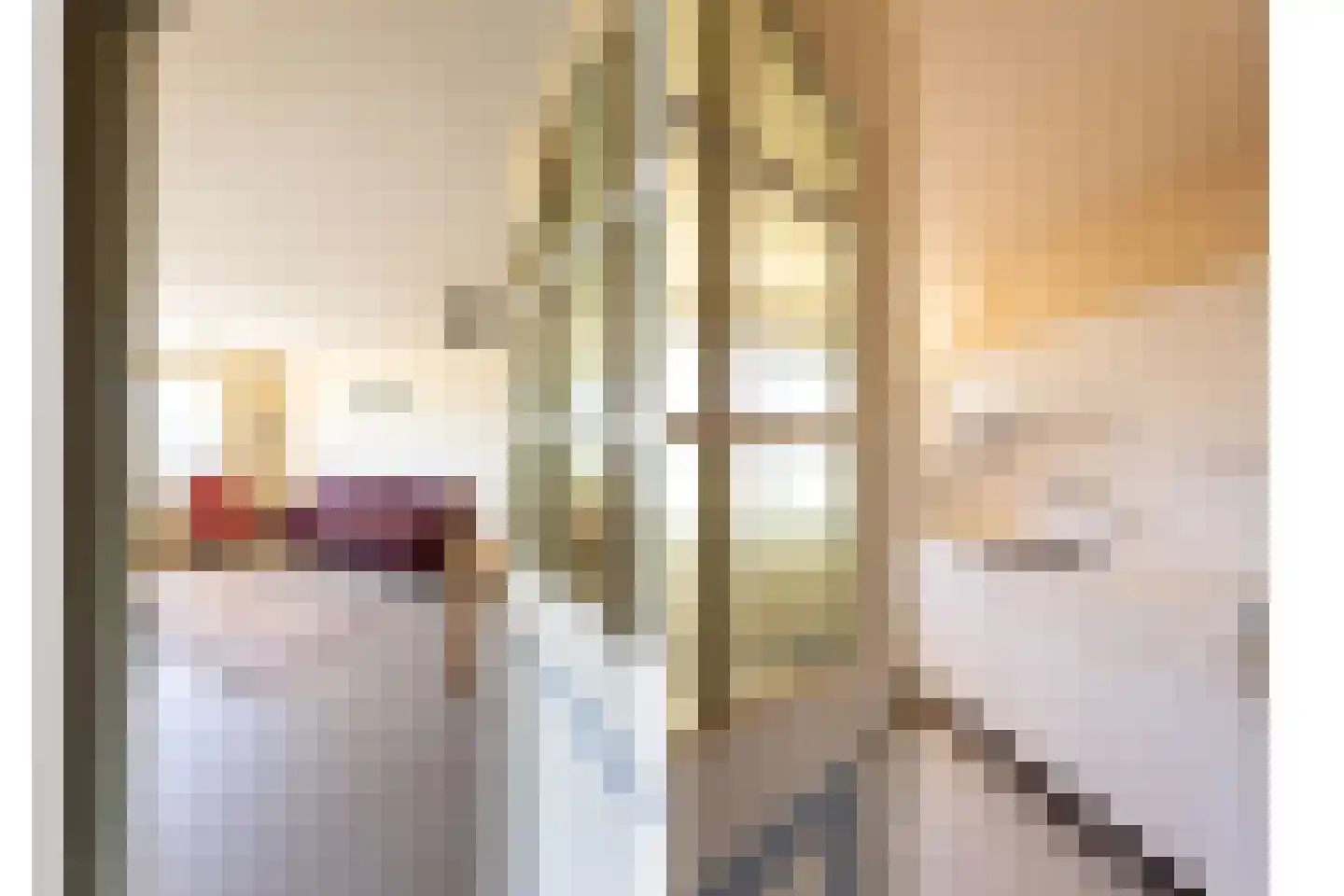 De Loet 216 Castricum thumbnail 8