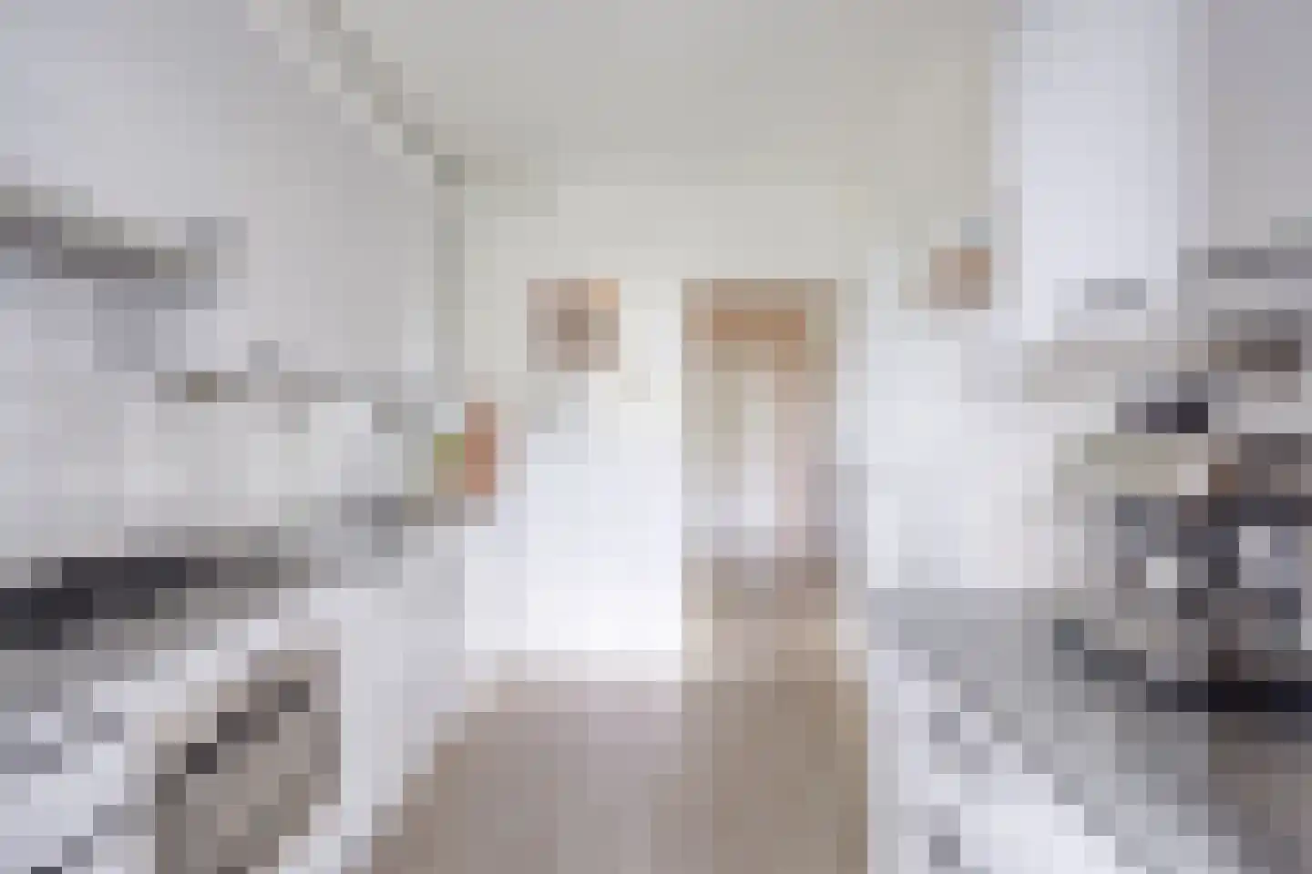 De Loet 236 Castricum thumbnail 12