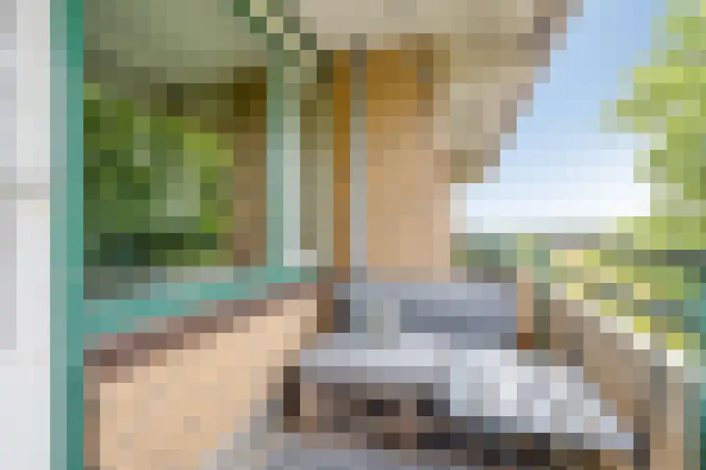 De Loet 236 Castricum thumbnail 21