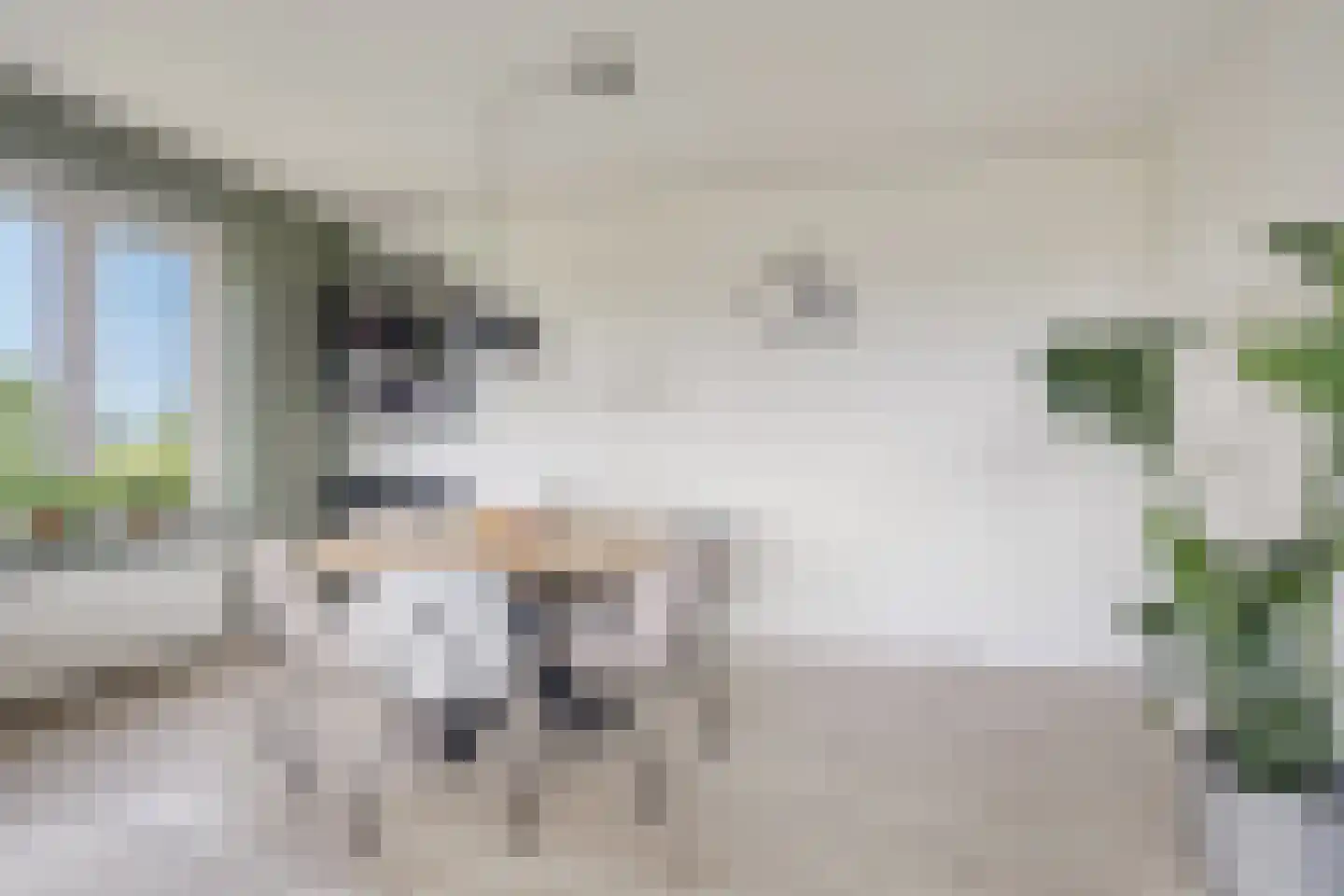 De Loet 236 Castricum thumbnail 8