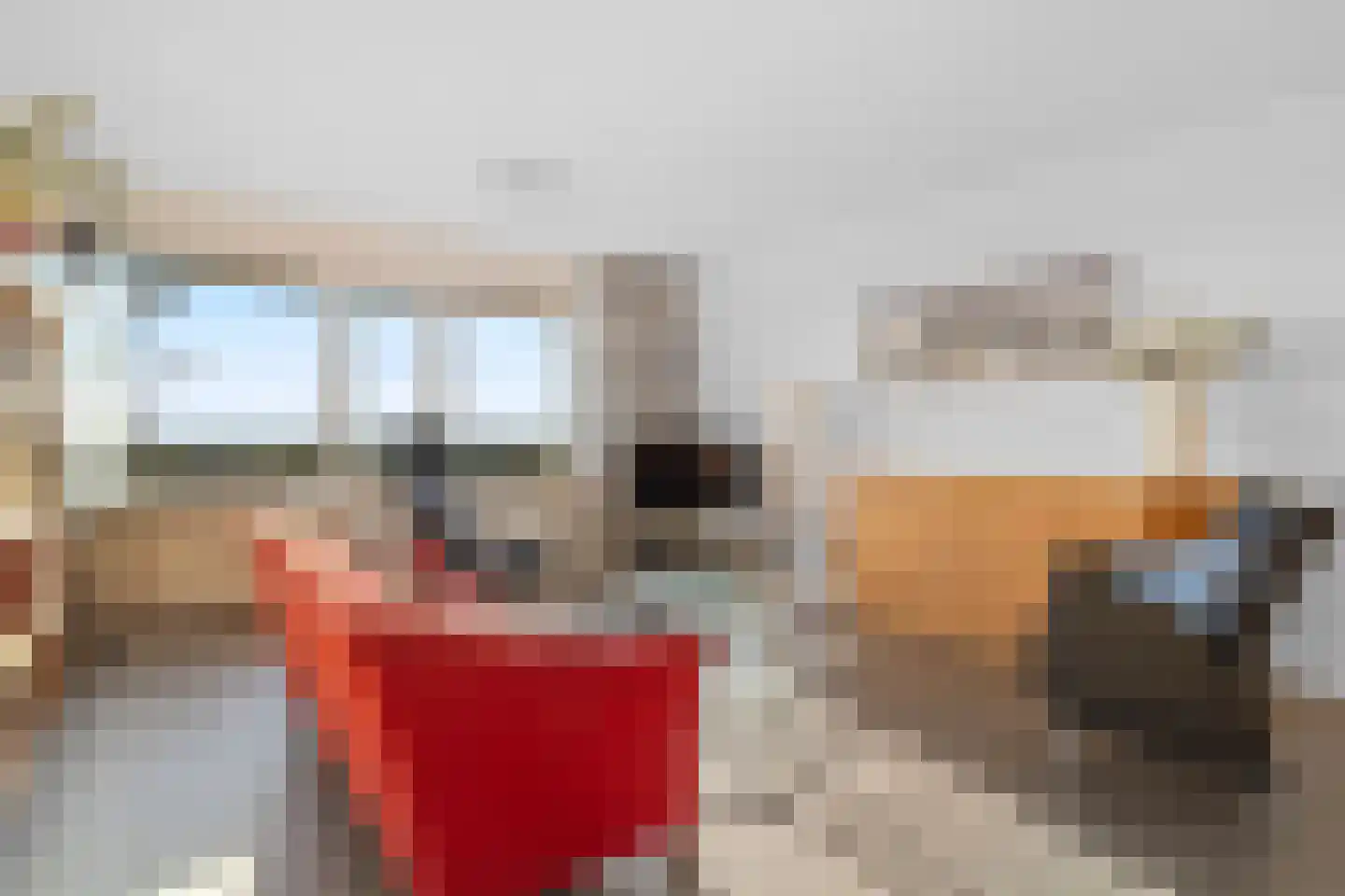 De Loet 264 Castricum thumbnail 14