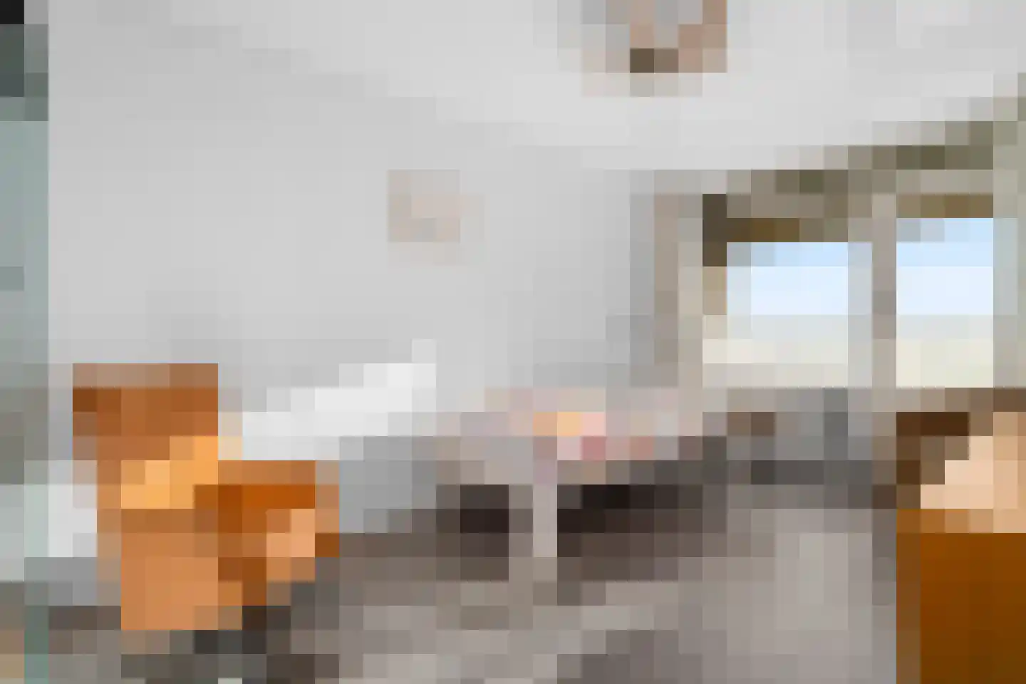 De Loet 264 Castricum thumbnail 23