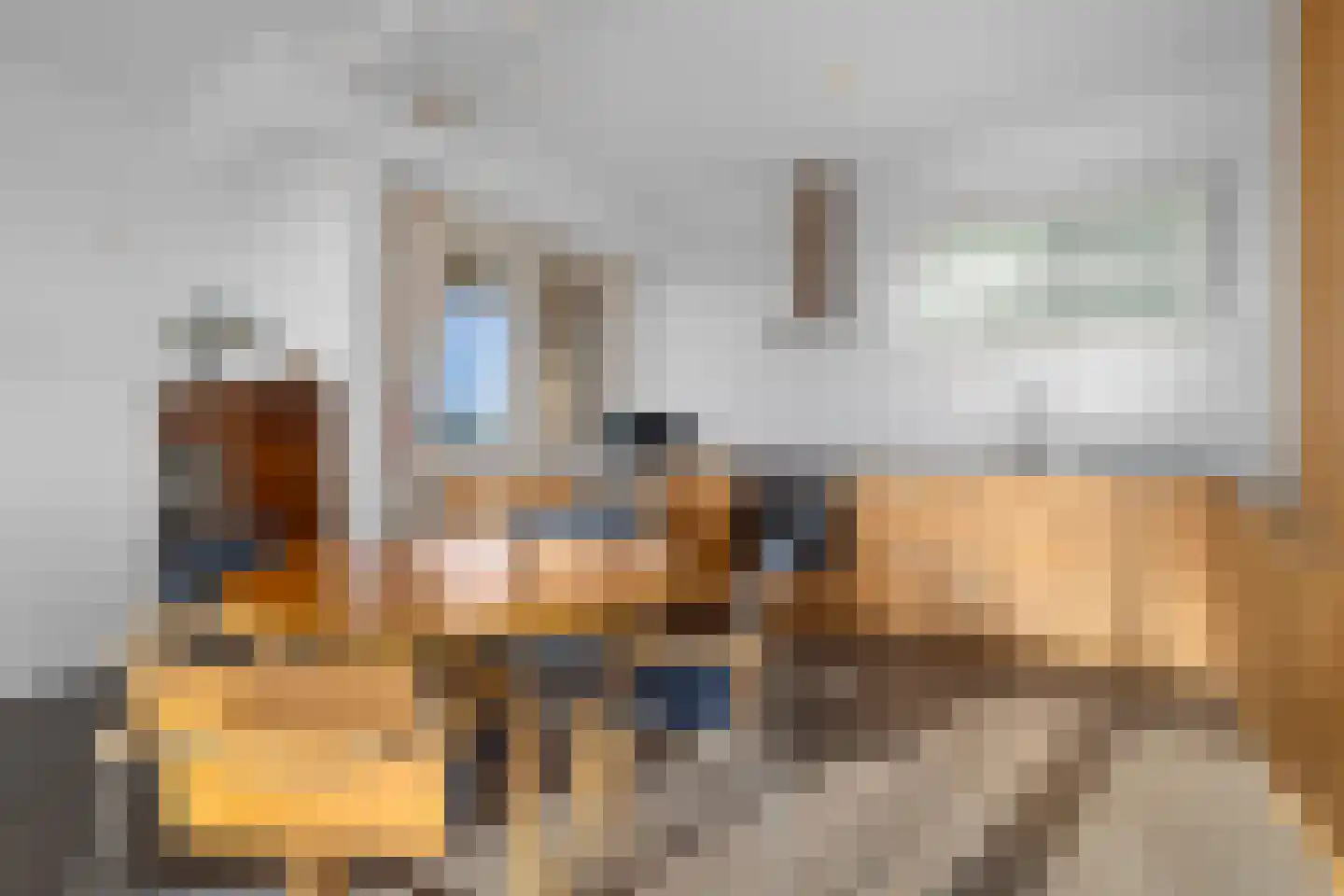 De Loet 264 Castricum thumbnail 4