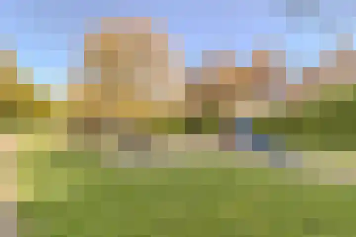 De Loet 286 Castricum thumbnail 31