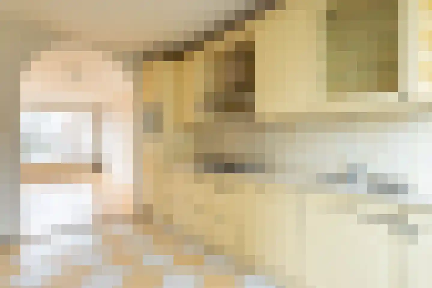 De Loet 300 Castricum thumbnail 10