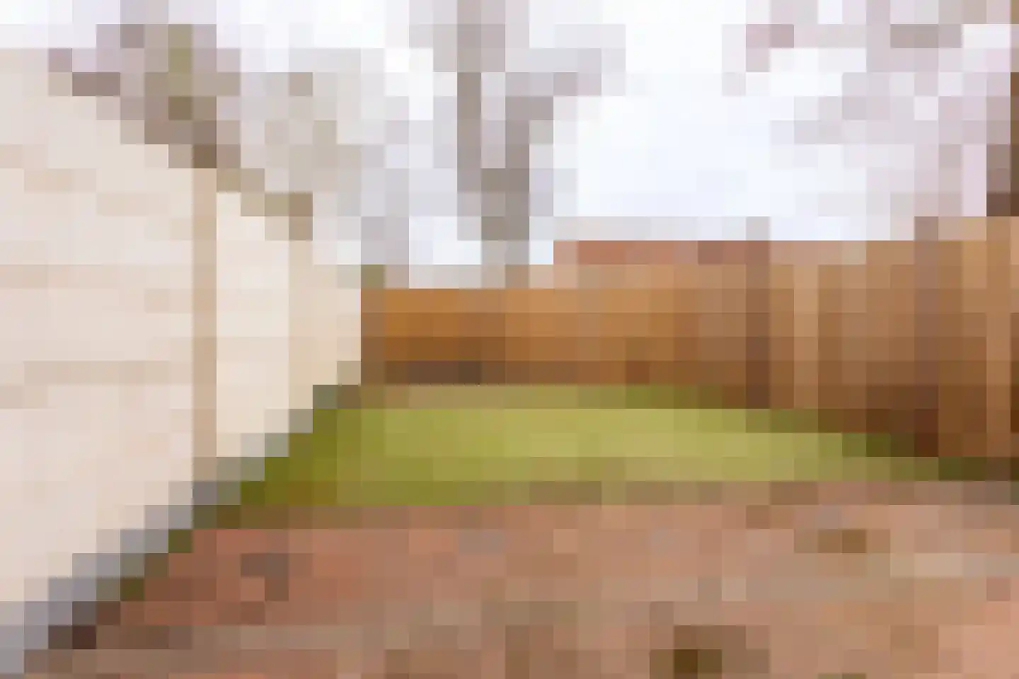 De Loet 300 Castricum thumbnail 28
