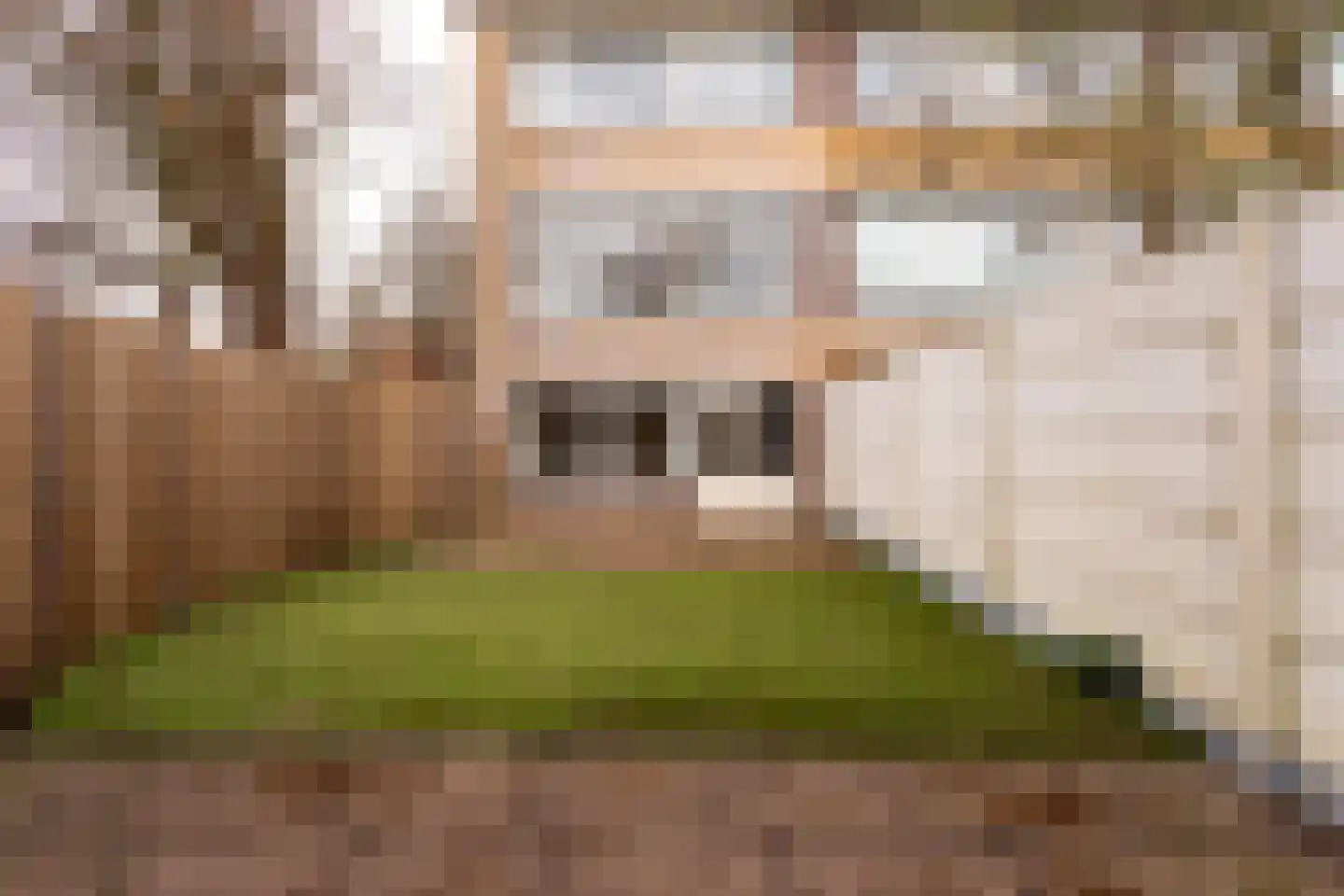 De Loet 300 Castricum thumbnail 29
