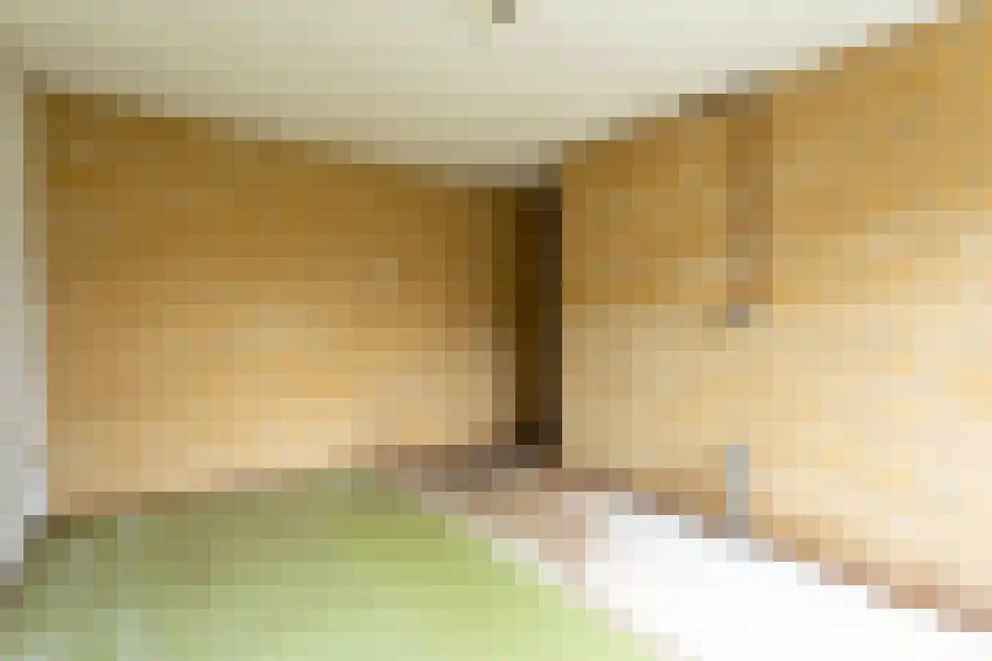 De Loet 300 Castricum thumbnail 32