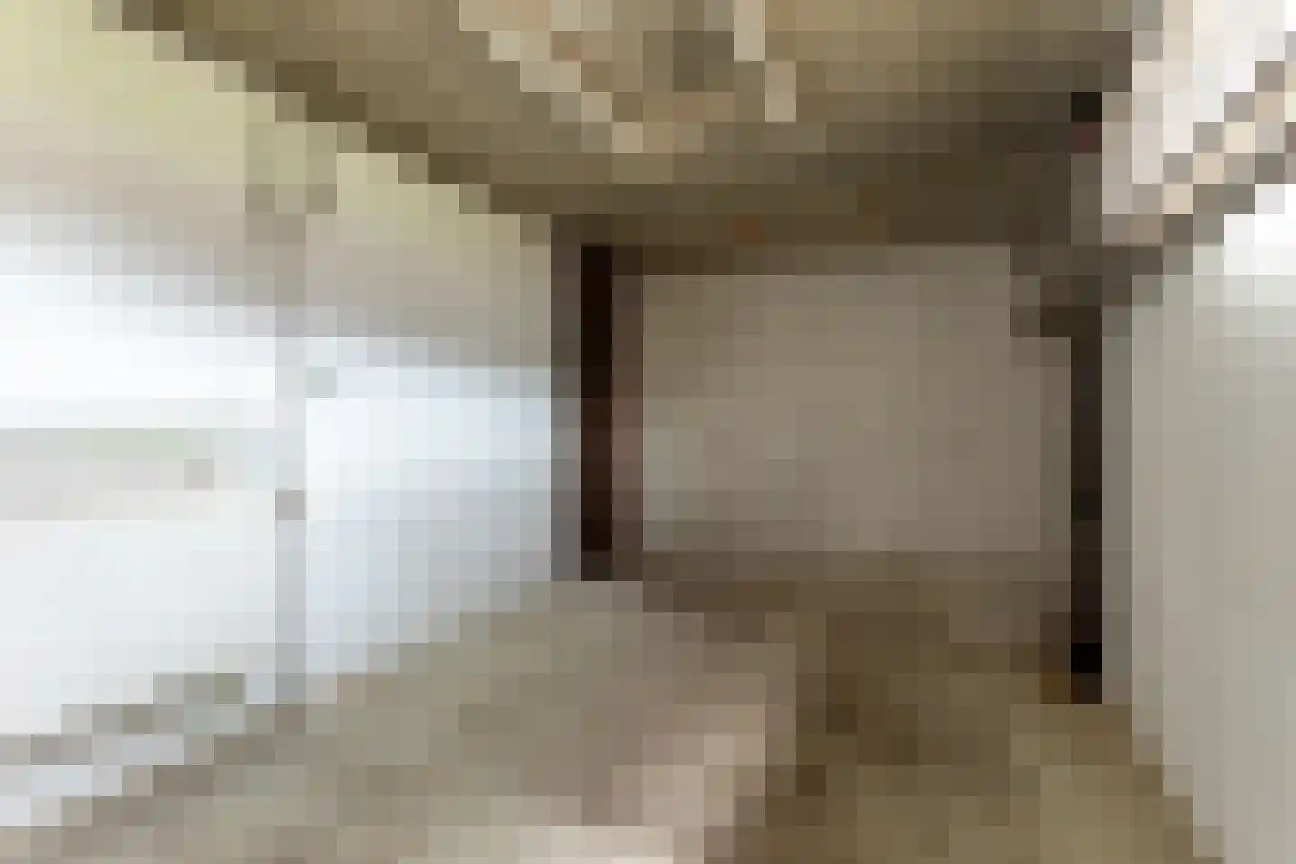 De Loet 300 Castricum thumbnail 35