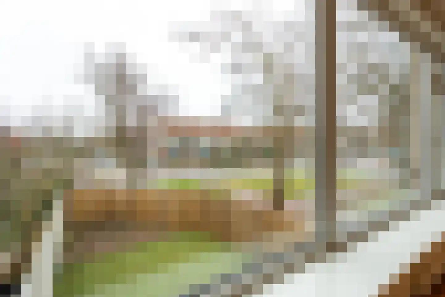 De Loet 300 Castricum thumbnail 4