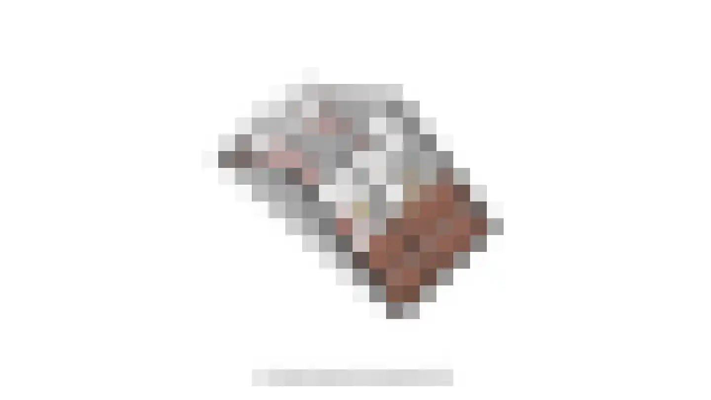 De Loet 300 Castricum thumbnail 68