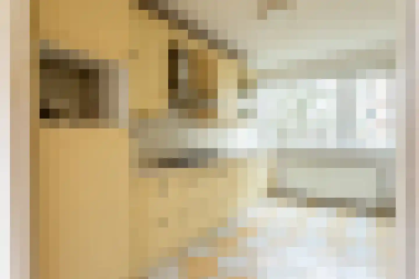 De Loet 300 Castricum thumbnail 9