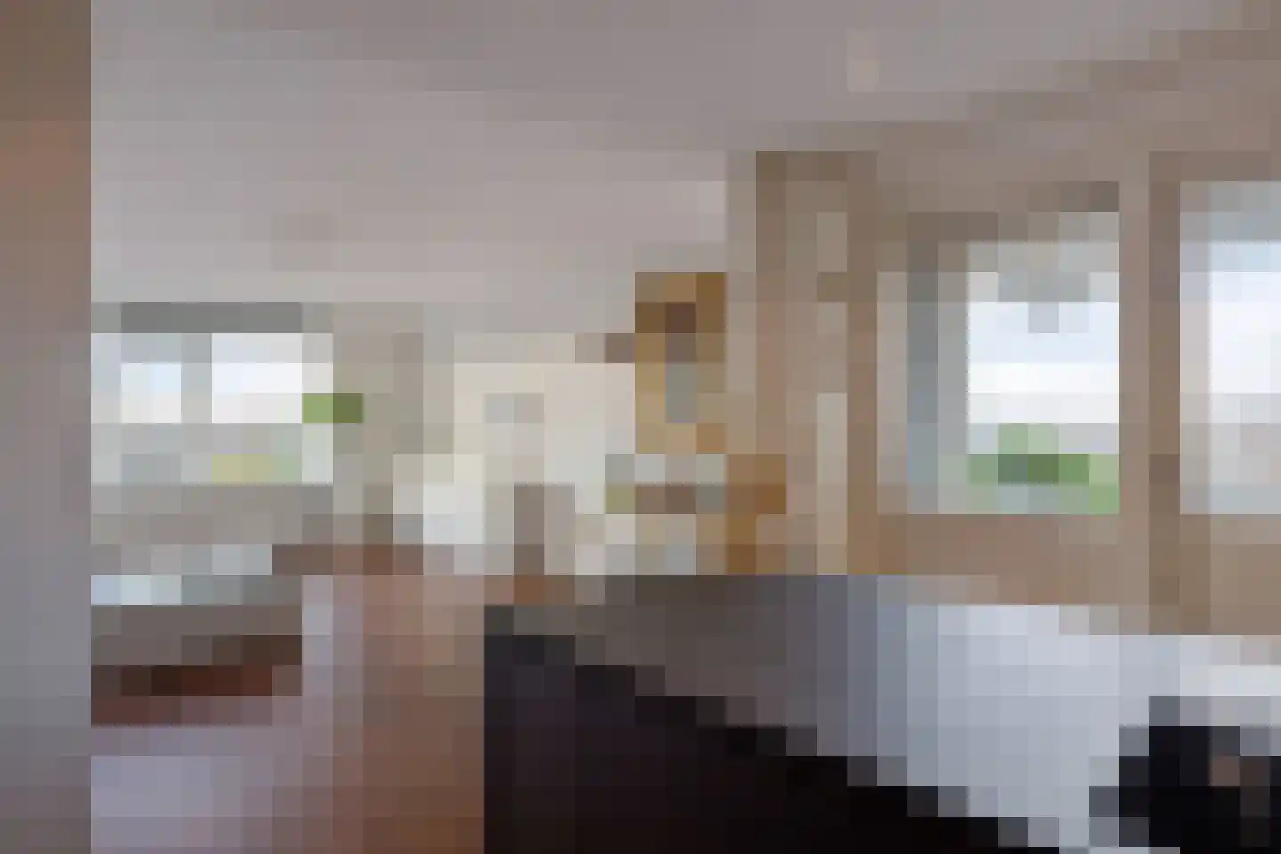 De Loet 54 Castricum thumbnail 13
