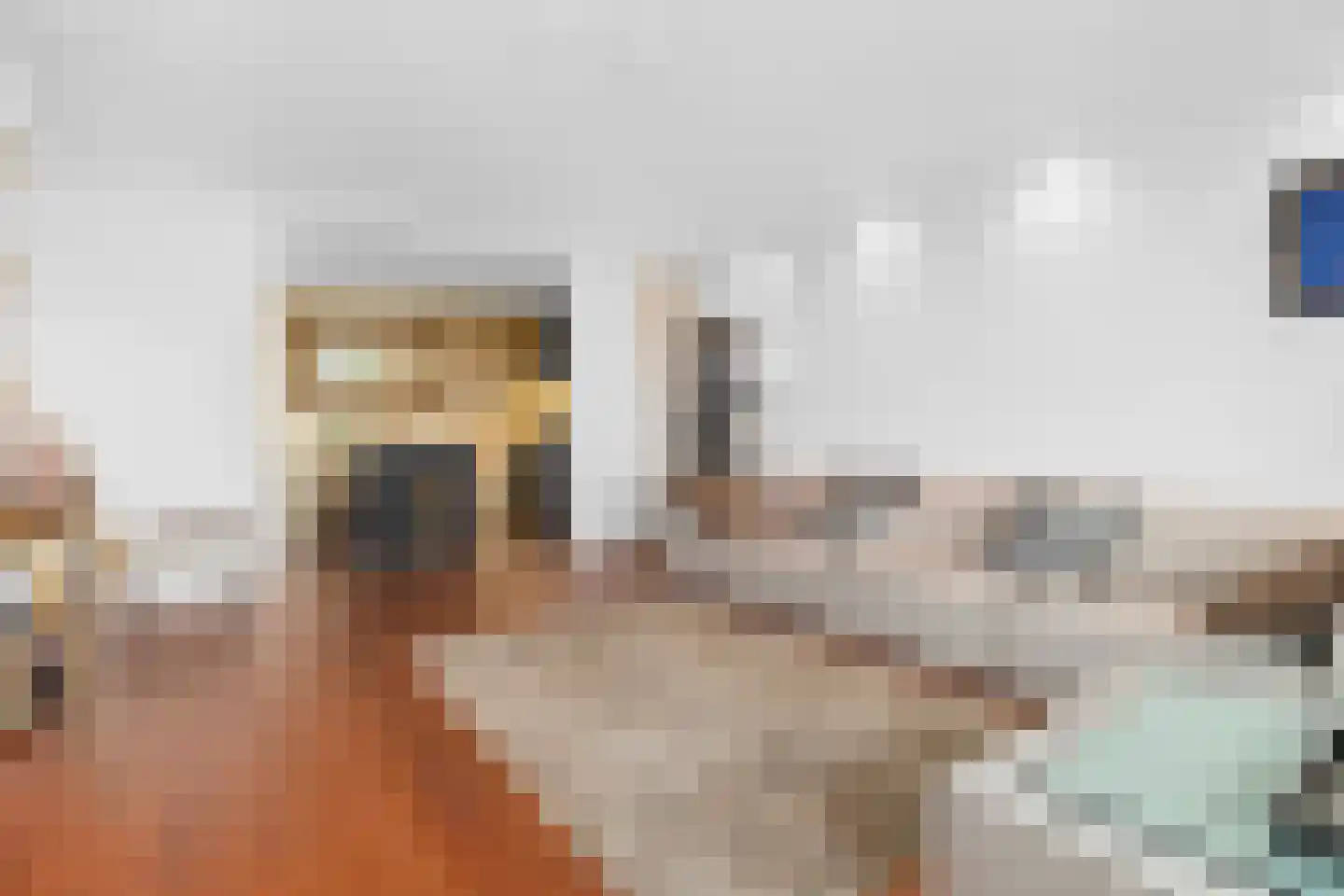 De Loet 54 Castricum thumbnail 13