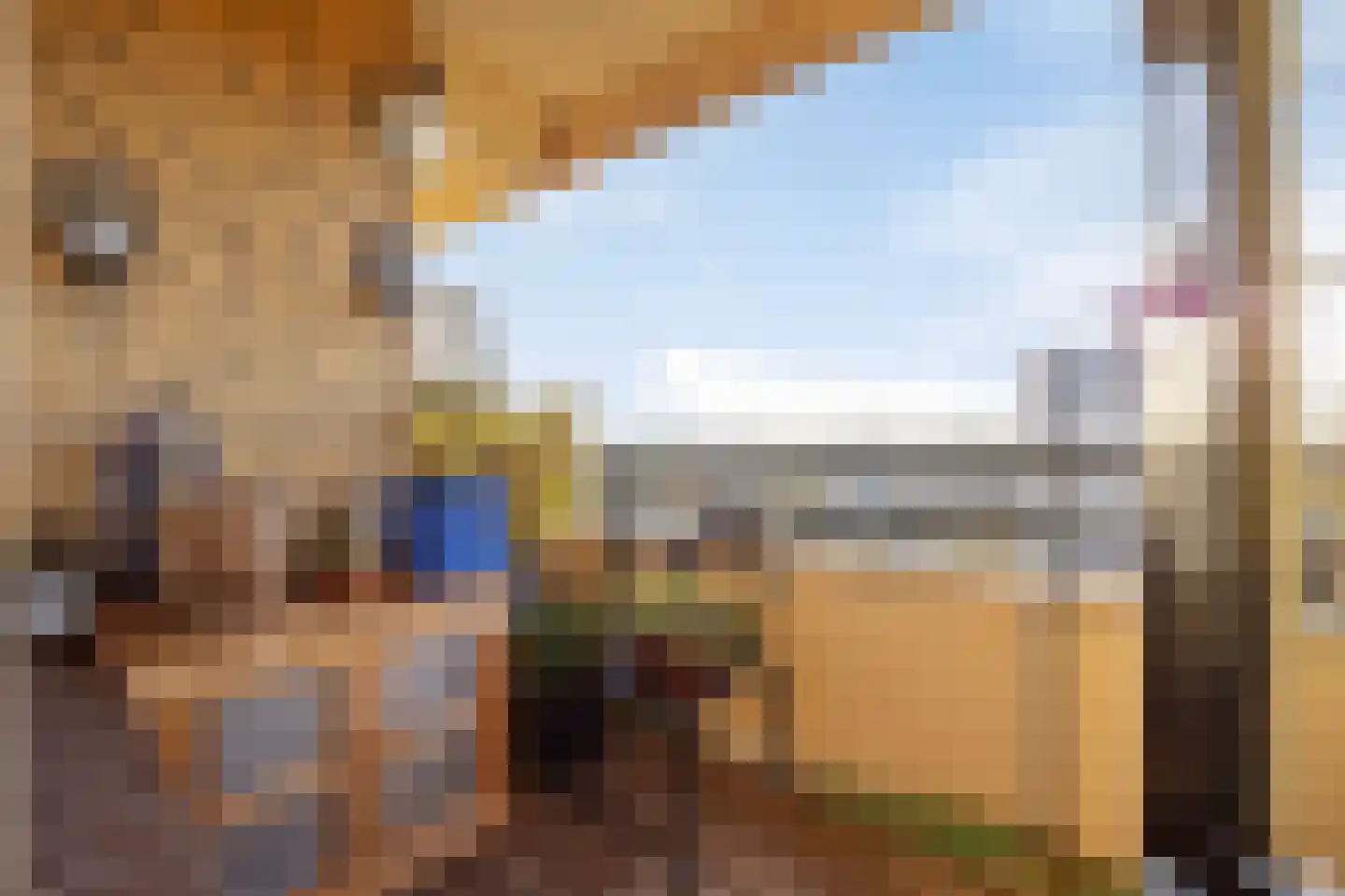 De Loet 54 Castricum thumbnail 22