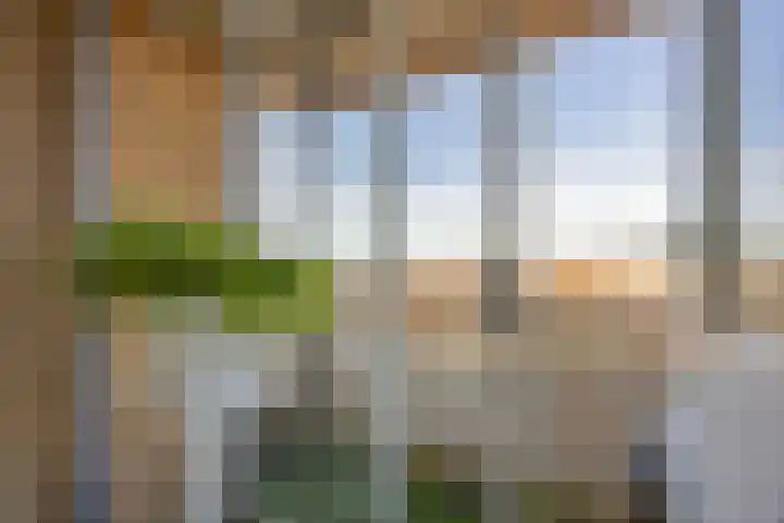 De Loet 54 Castricum thumbnail 26