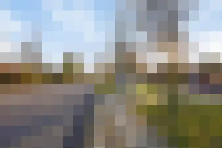 De Loet 54 Castricum thumbnail 29