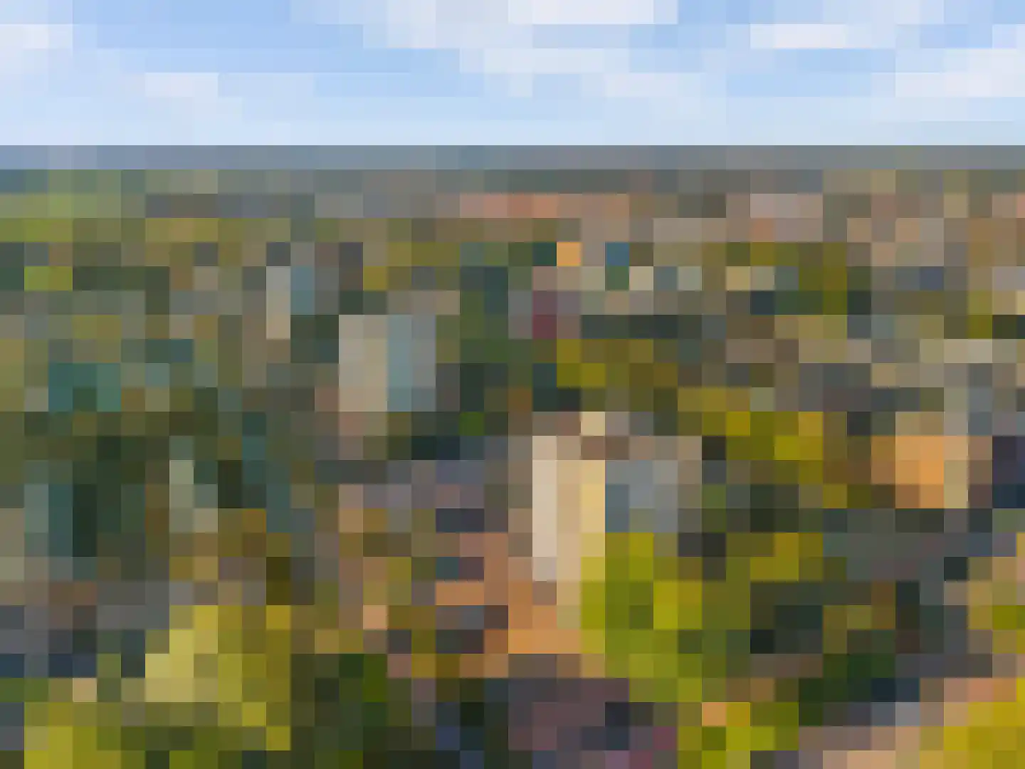 De Loet 54 Castricum thumbnail 31
