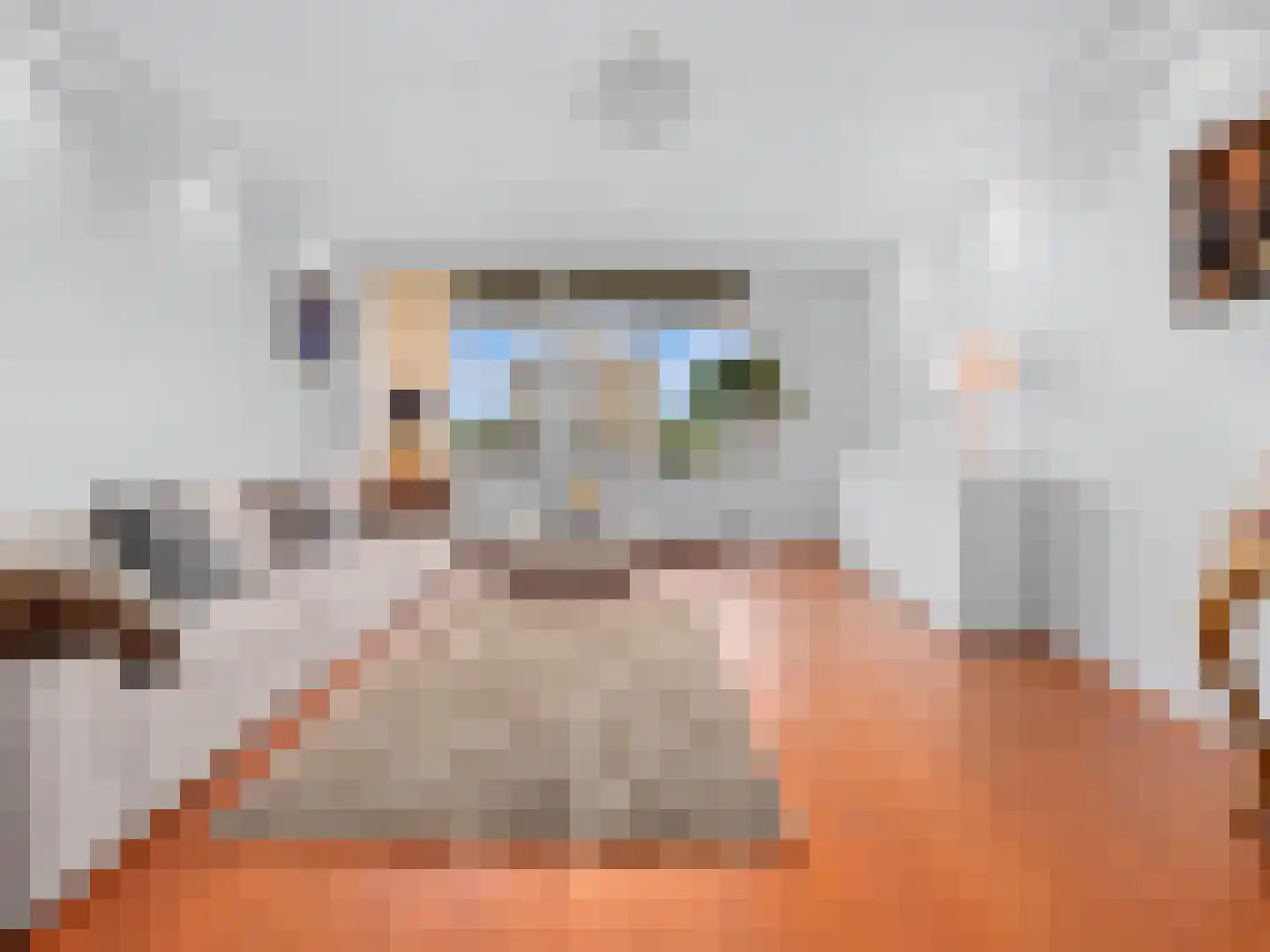 De Loet 54 Castricum thumbnail 8