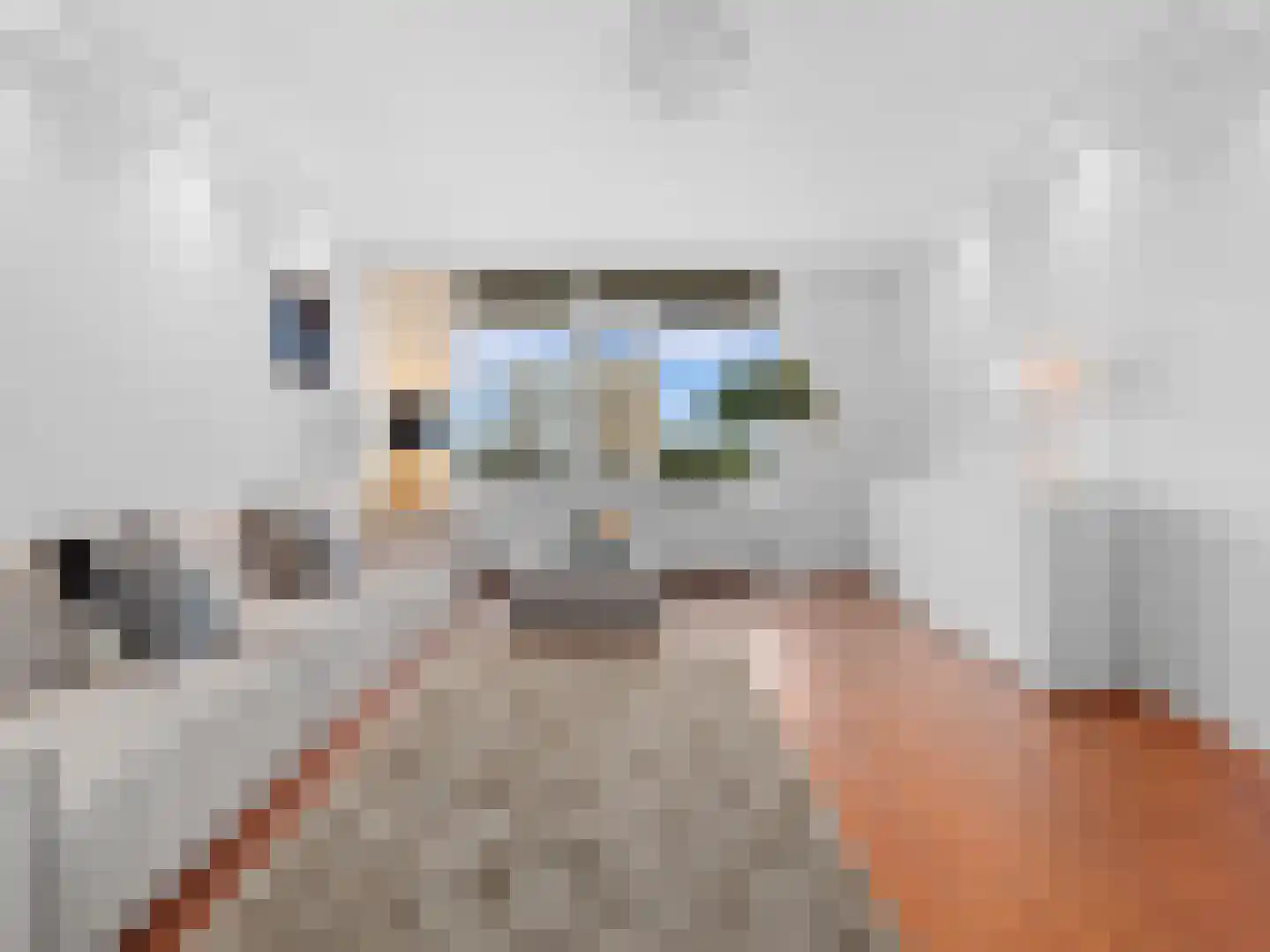 De Loet 54 Castricum thumbnail 9