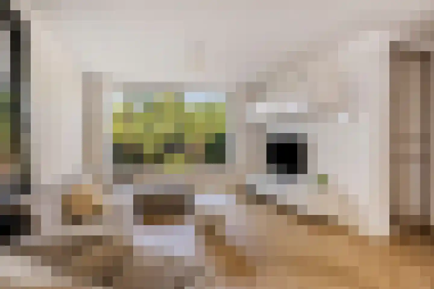 De Loet 7 Castricum thumbnail 10