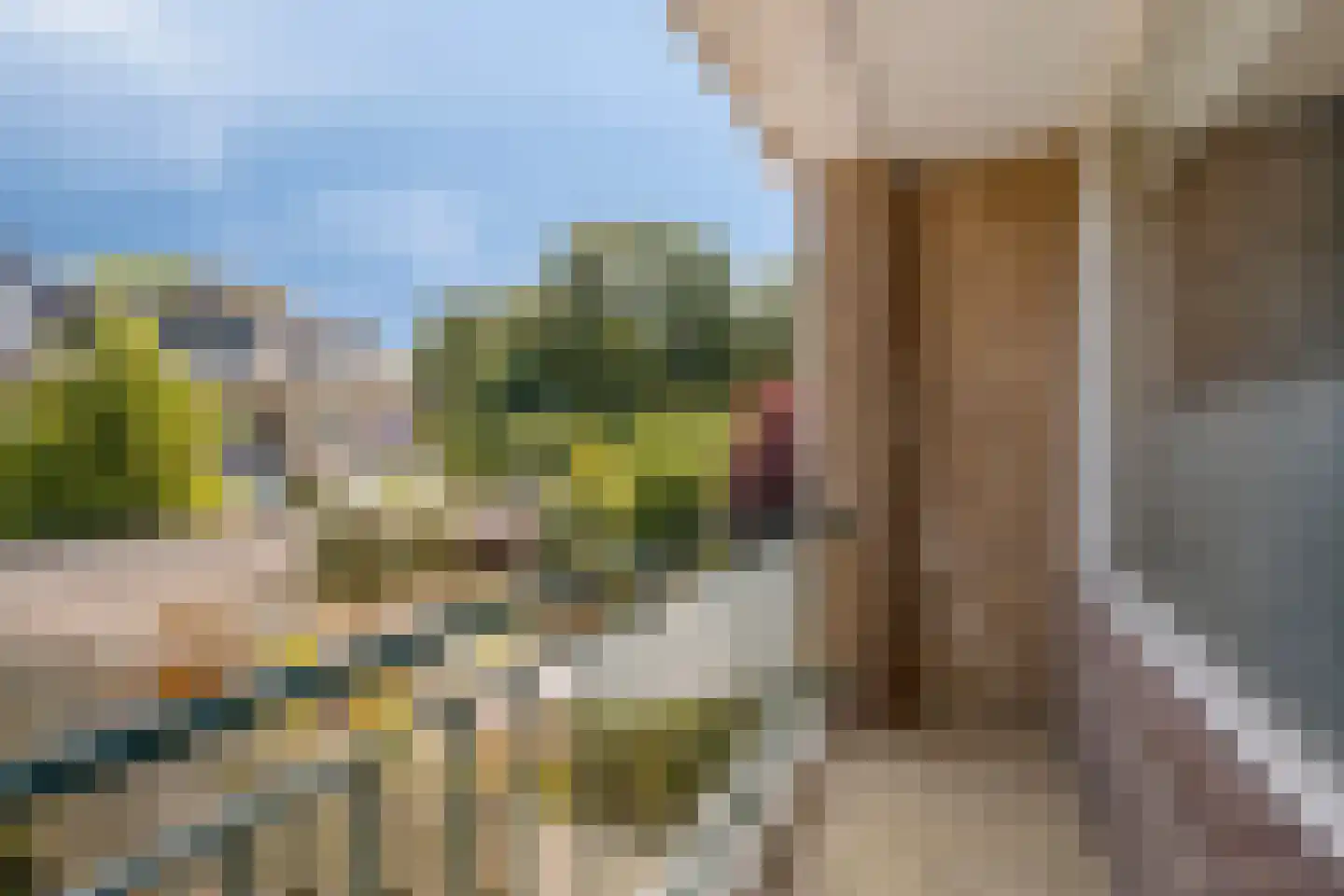 De Loet 7 Castricum thumbnail 26