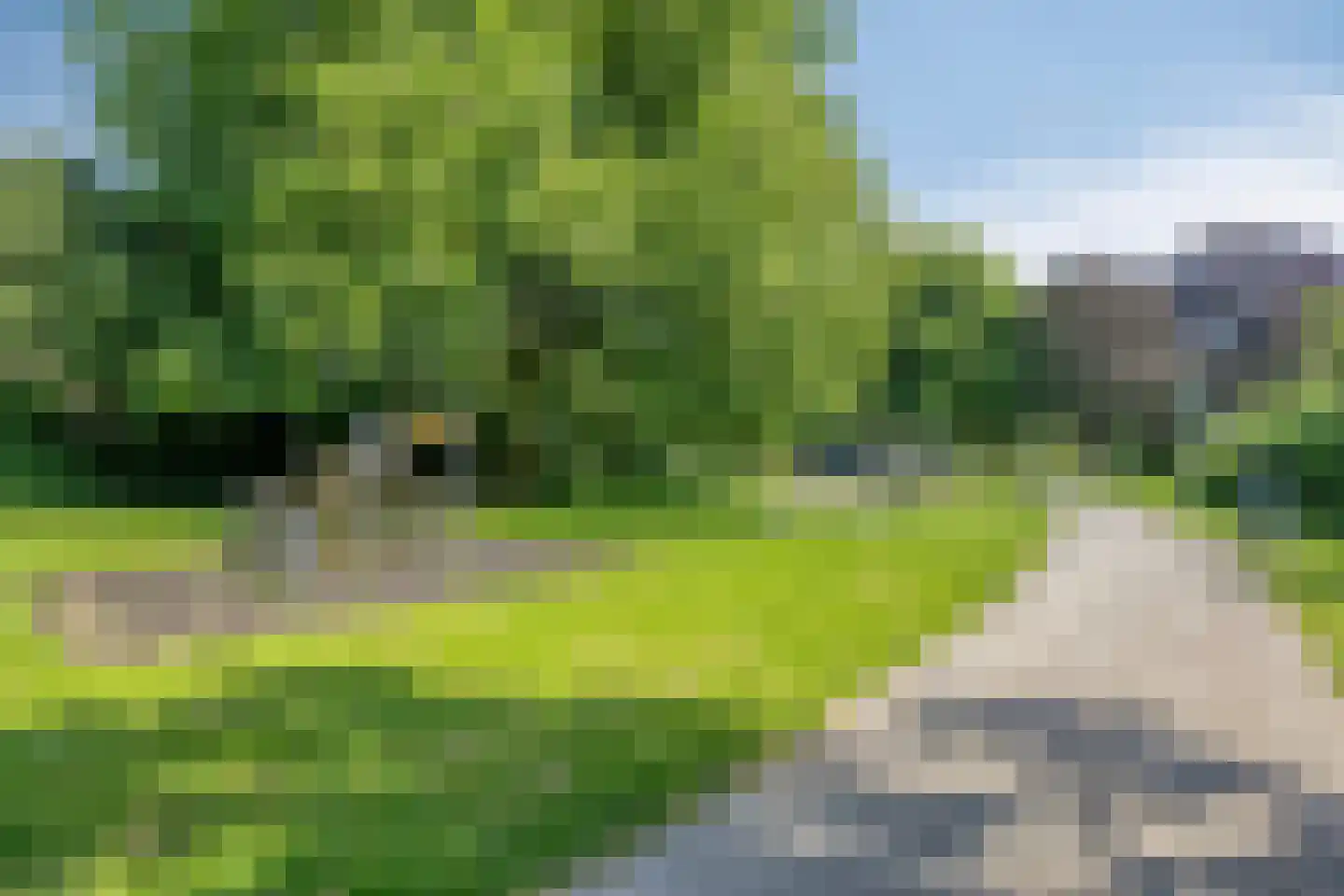 De Loet 7 Castricum thumbnail 34