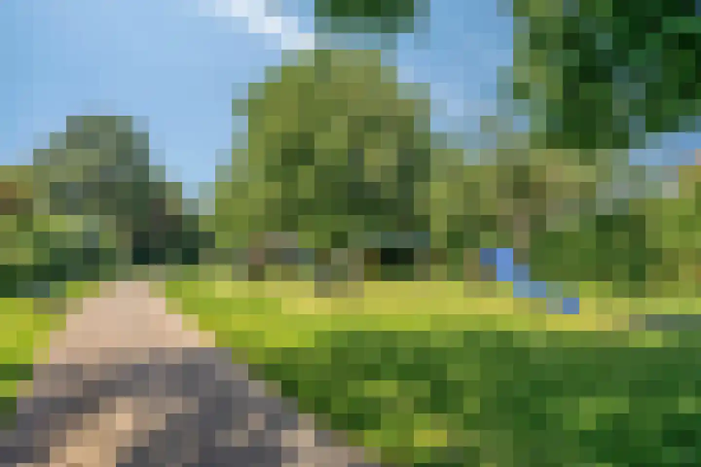 De Loet 7 Castricum thumbnail 4