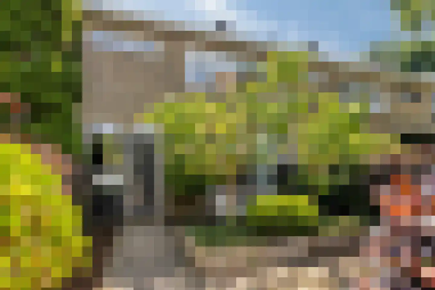 De Loet 7 Castricum thumbnail 5