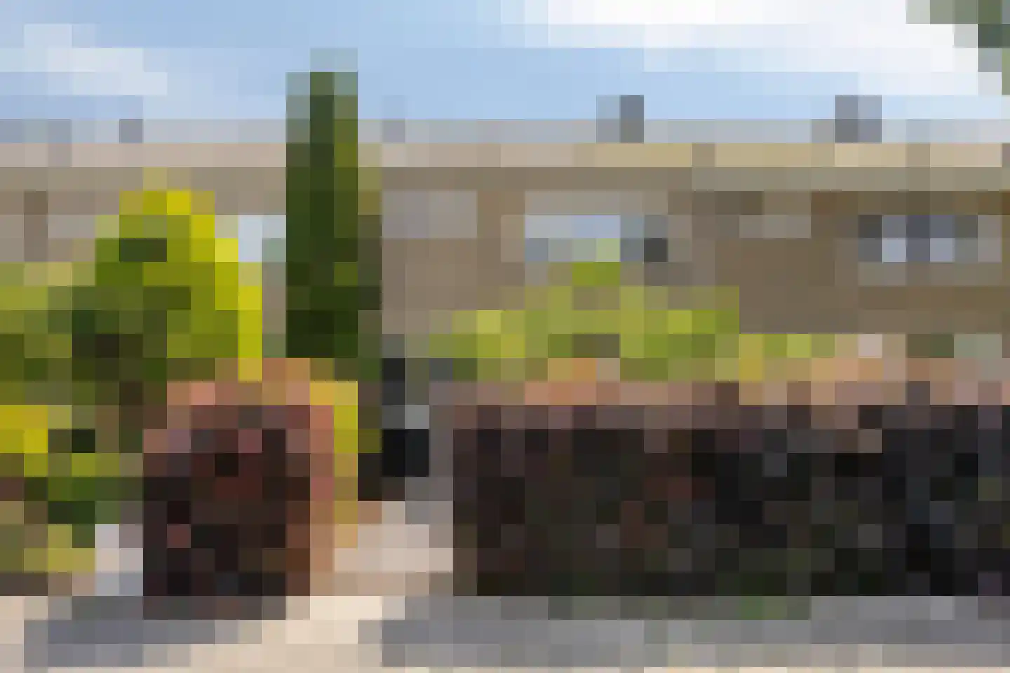 De Loet 7 Castricum thumbnail 6