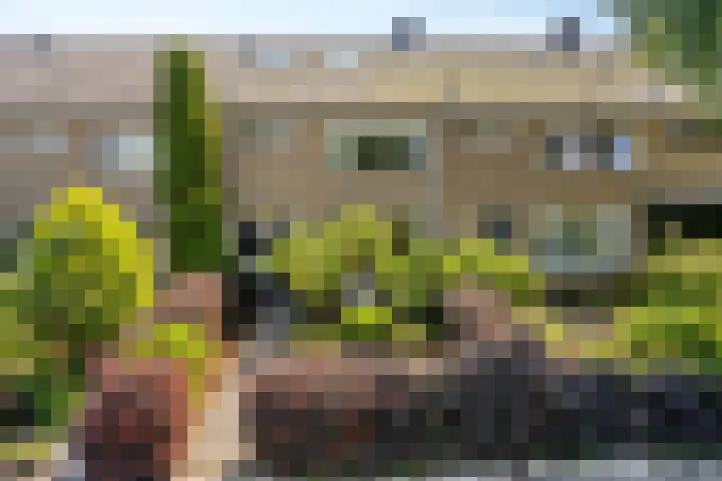 De Loet 7 Castricum thumbnail 8