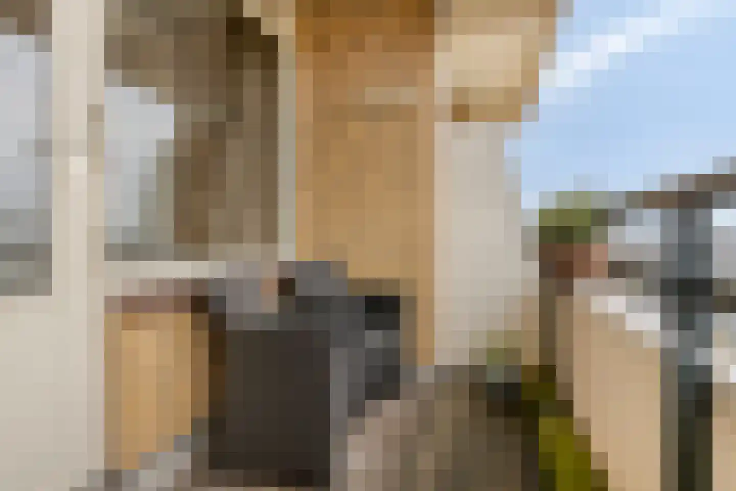 De Loet 72 Castricum thumbnail 13