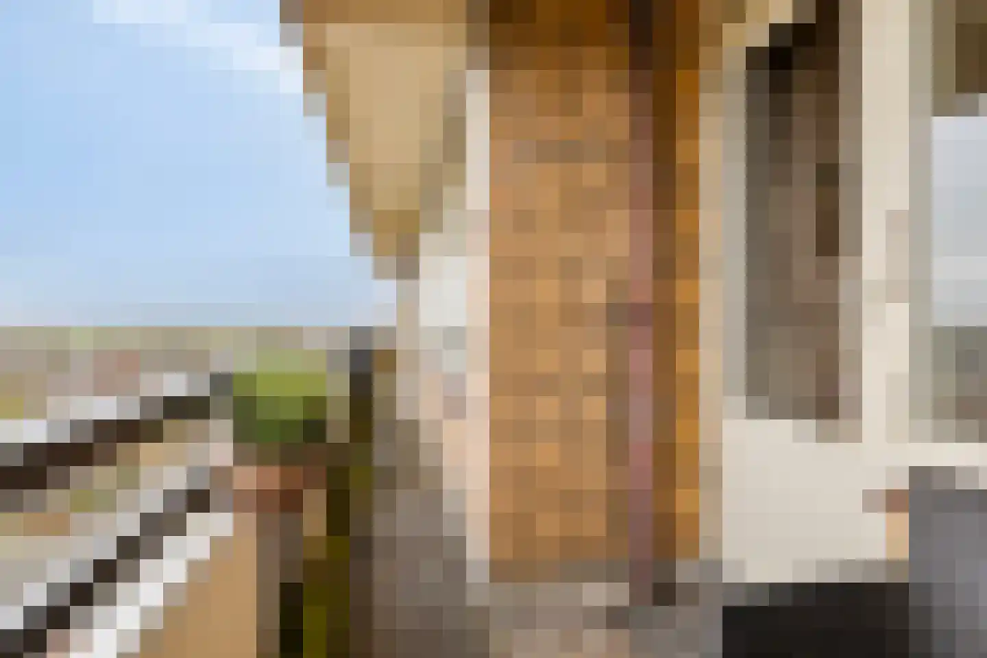 De Loet 72 Castricum thumbnail 14