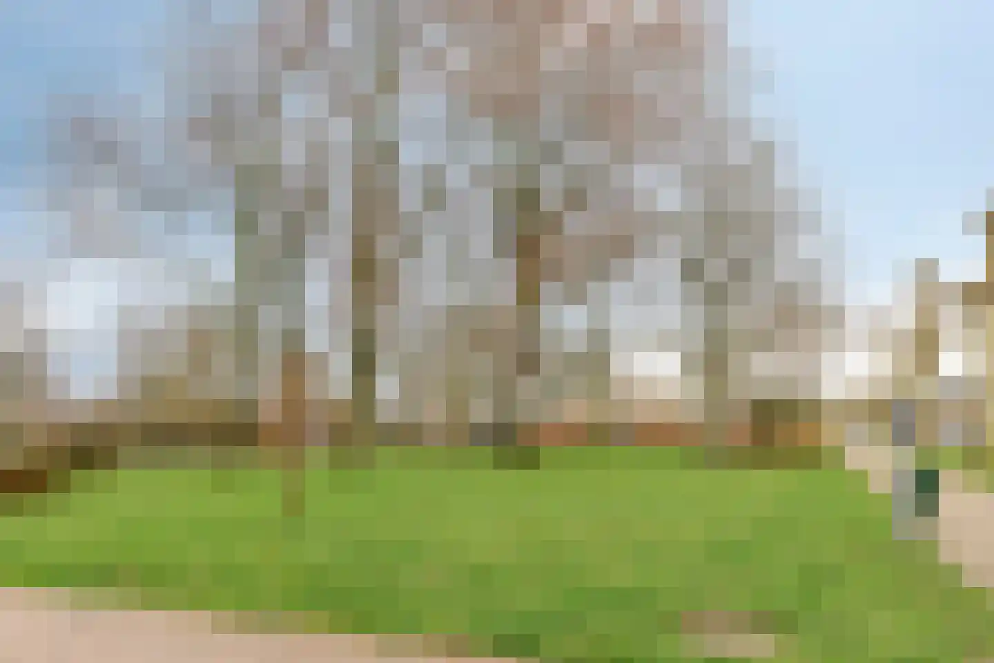 De Loet 72 Castricum thumbnail 27