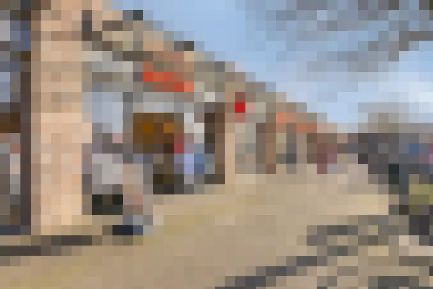 De Loet 72 Castricum thumbnail 28