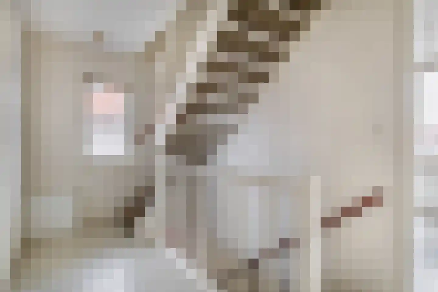 De Loete 19 Pijnacker thumbnail 30