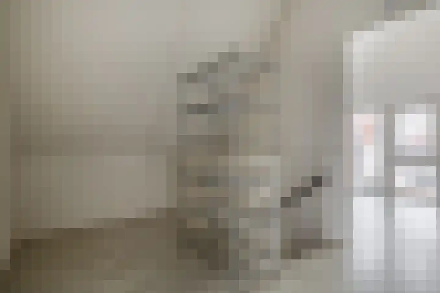 De Loete 19 Pijnacker thumbnail 31