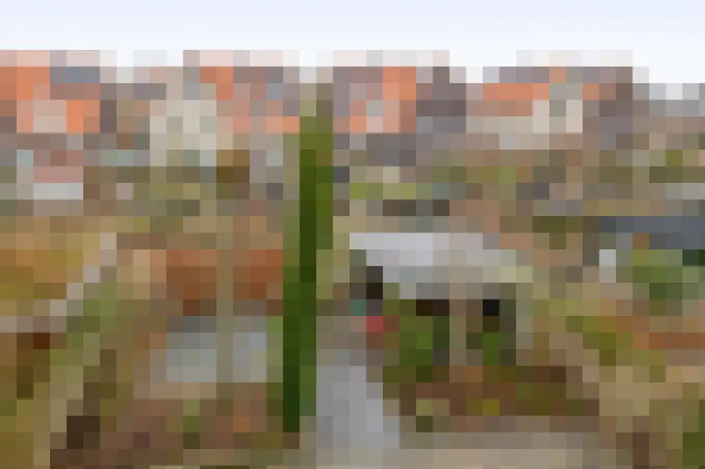 De Loete 19 Pijnacker thumbnail 41