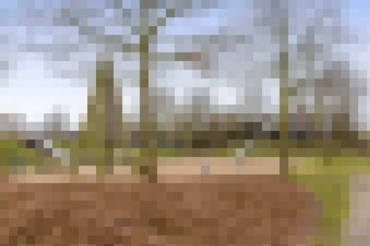 De Loete 19 Pijnacker thumbnail 44