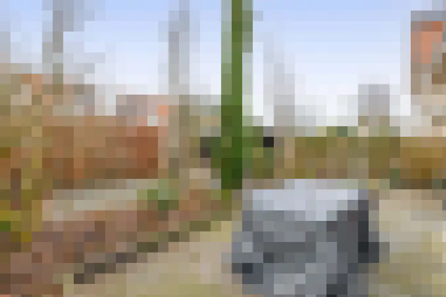 De Loete 19 Pijnacker thumbnail 8