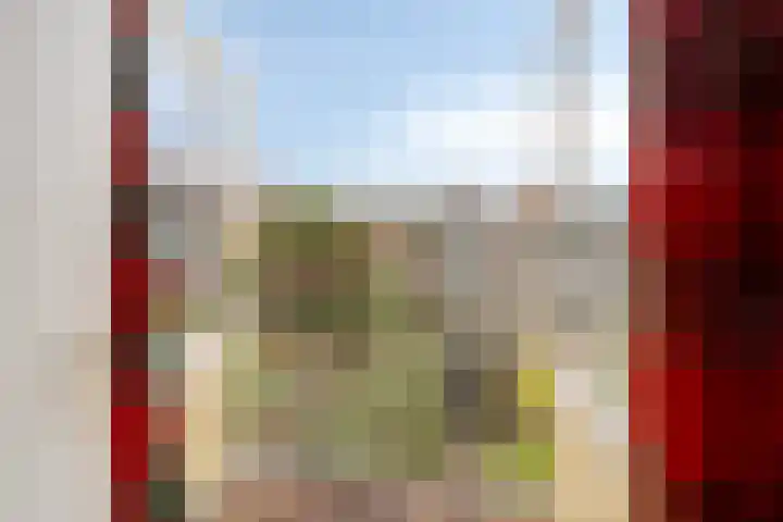 De Loete 22 Pijnacker thumbnail 16
